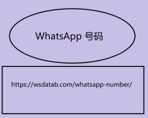 WhatsApp 号码