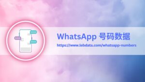 WhatsApp 号码数据